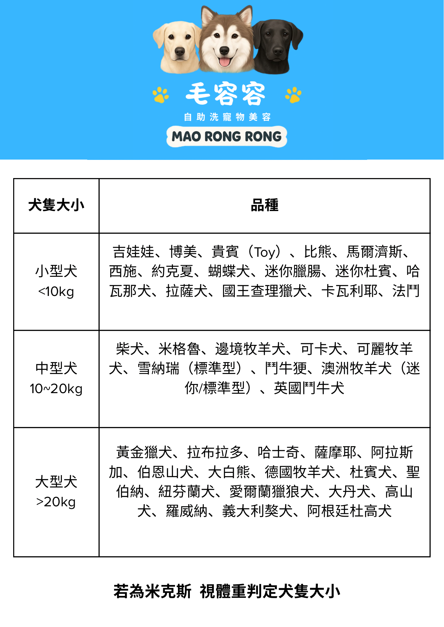 寵物自助洗收費透明｜林口毛容容價目表故事與安心承諾